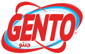 Gneto